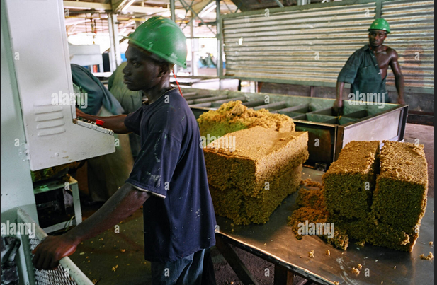 Workers handling materials at an industrial processing facility in Ghana (Credit: Alamy Stock Photo)