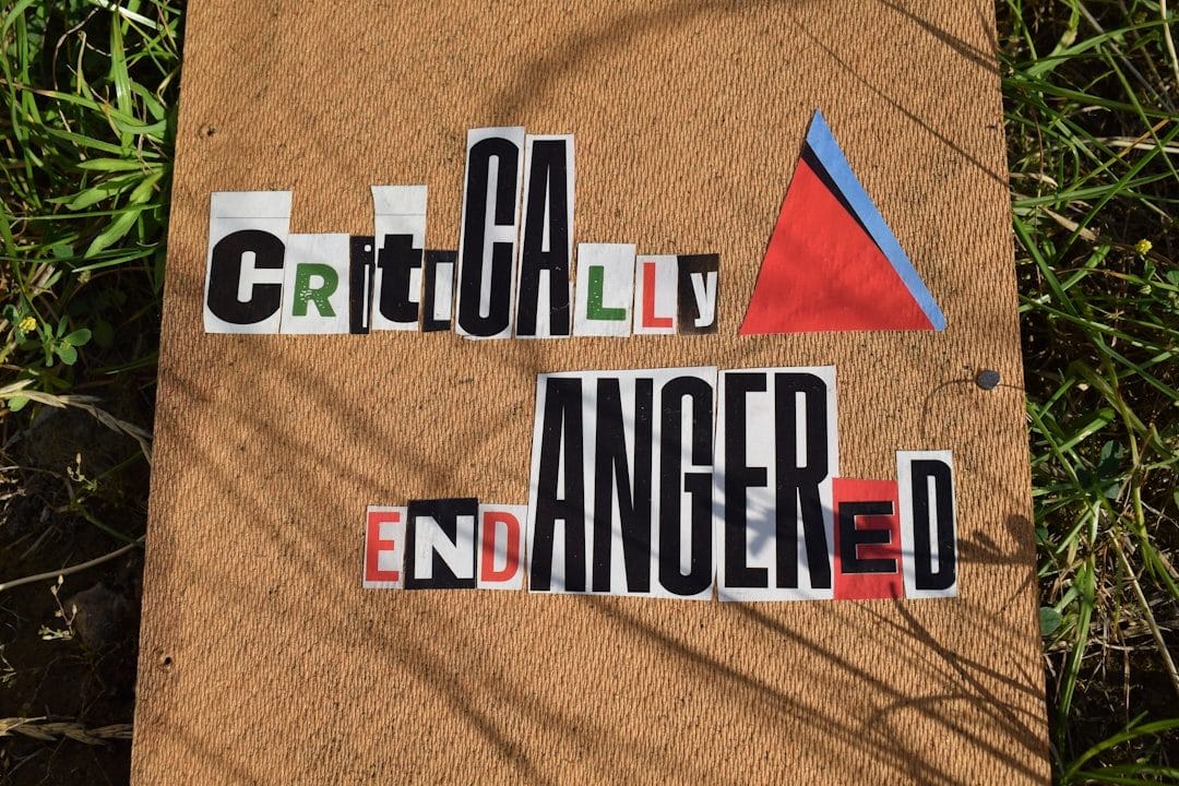 The Context: What Triggered the 2026 Reshuffle?